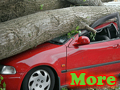Car Insurance